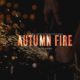 Autumn Fire