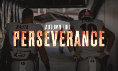 Autumn Fire - Perseverance